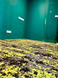 Yellow thick carpet tiles Malaysia supply